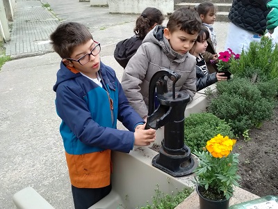 IMG_20190503_132334_509 IMG_20190503_132334_509