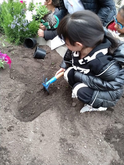 IMG_20190503_132457_486 IMG_20190503_132457_486